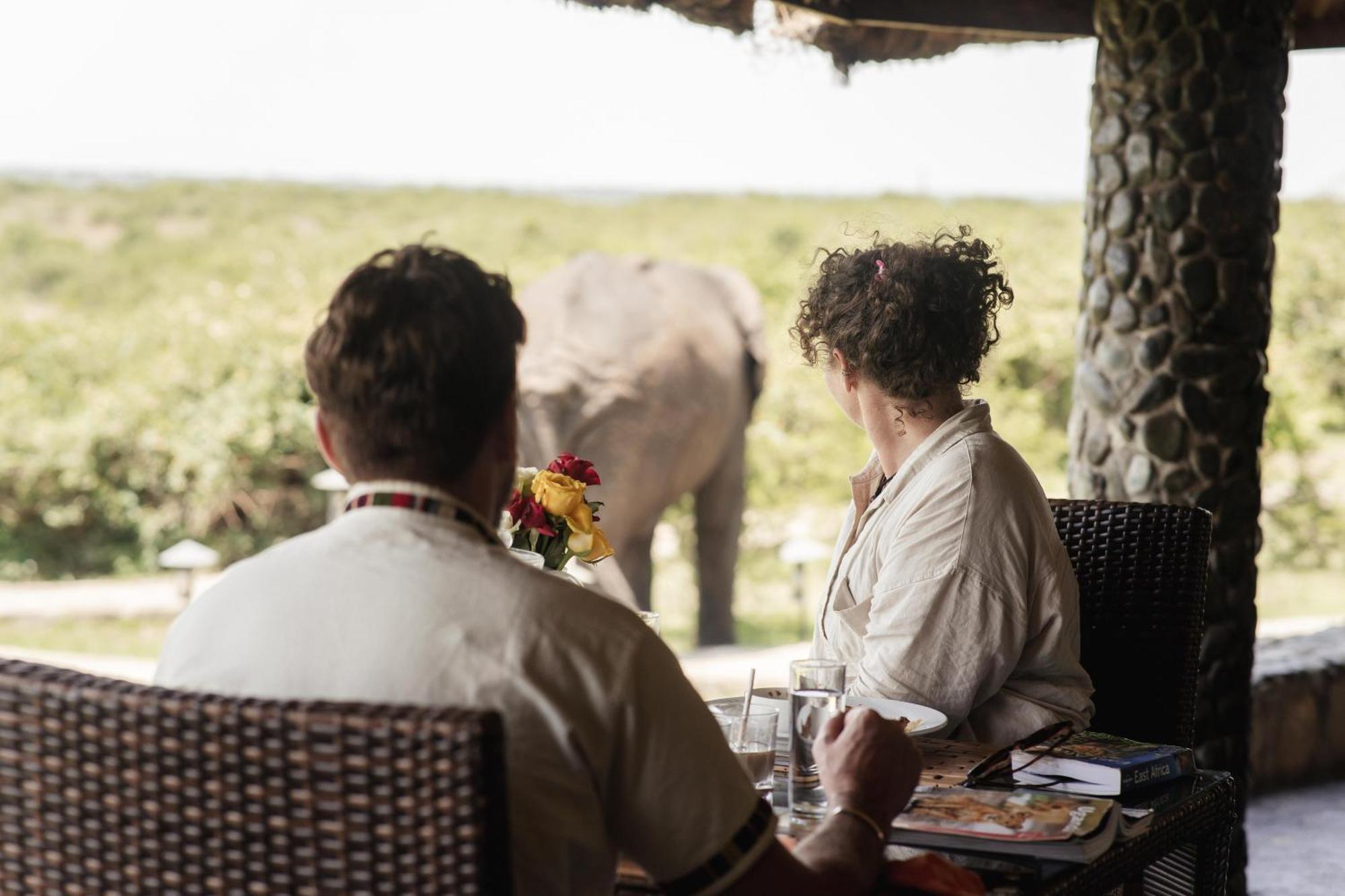 Buffalo Safari Lodge Katunguru Екстер'єр фото